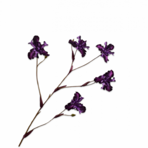 Iris steel lavendel 86cm